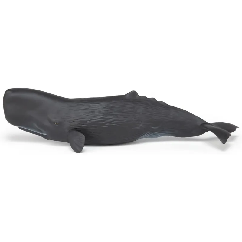 Sperm whale - PAPO-56036 - Papo - Papo - Le Nuage de Charlotte