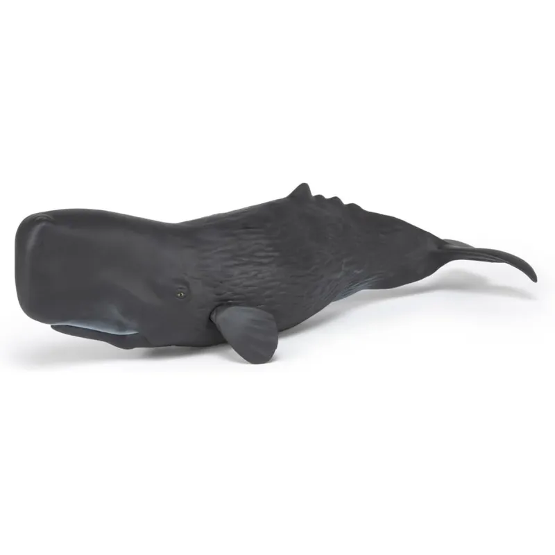 Sperm whale - PAPO-56036 - Papo - Papo - Le Nuage de Charlotte