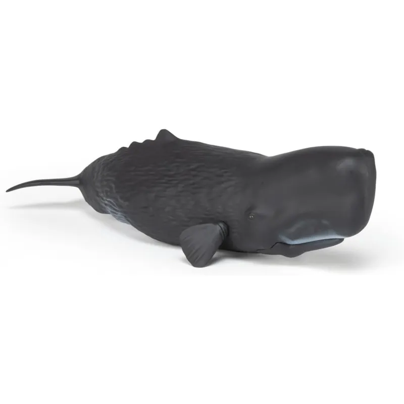 Sperm whale - PAPO-56036 - Papo - Papo - Le Nuage de Charlotte