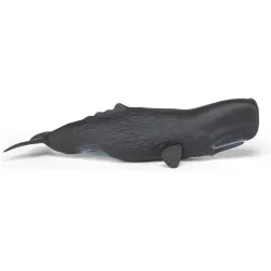 Sperm whale - PAPO-56036 - Papo - Papo - Le Nuage de Charlotte