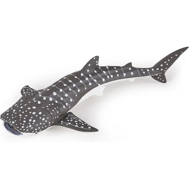 Jeune requin baleine - PAPO-56046 - Papo - Papo - Le Nuage de Charlotte