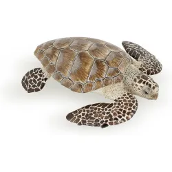 Loggerhead turtle - PAPO-🔴-56005 - Papo - Papo - Le Nuage de Charlotte