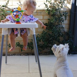 High Chair Spinning Toy