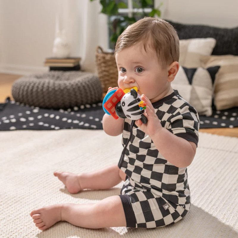 Baby Einstein - Shake-a-Shape Zen Teether Toy