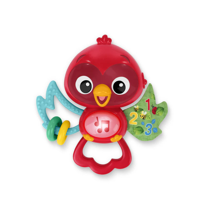 Baby Einstein – Jouet musical Roxy's Bright Flight