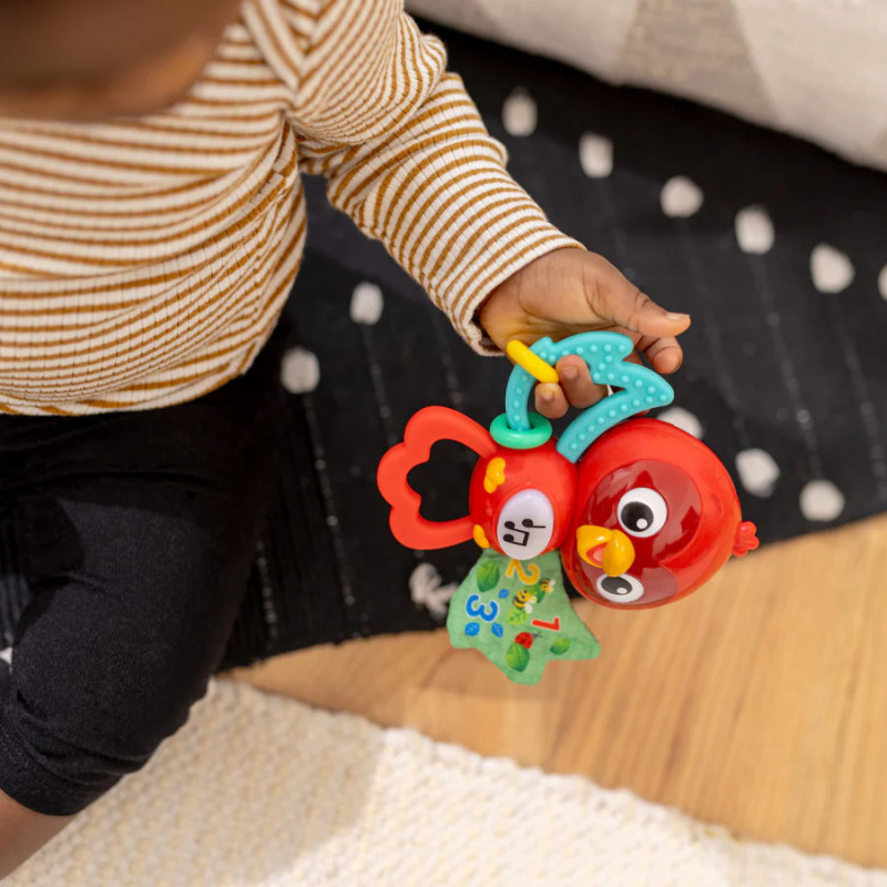 Baby Einstein - Roxy's Bright Flight Musical Toy