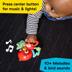 Baby Einstein – Jouet musical Roxy's Bright Flight