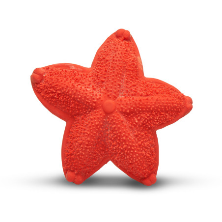 Teething Toy - Asteroidea