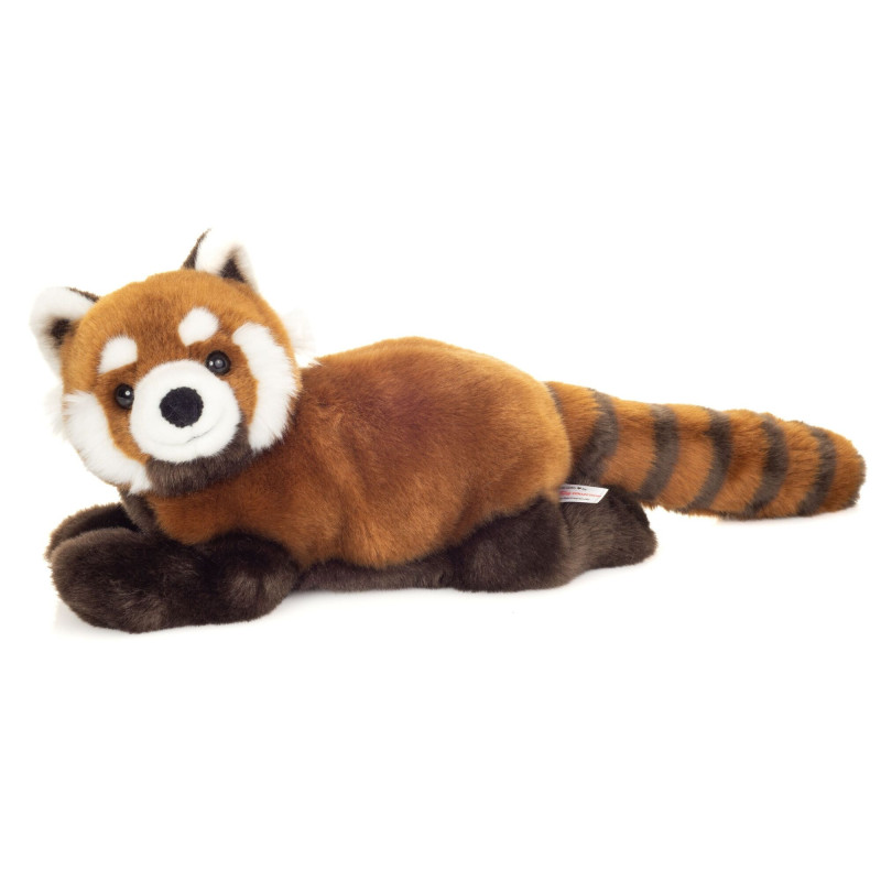 Red panda