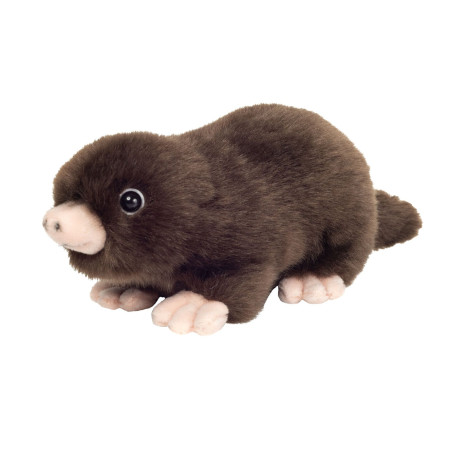 Mole