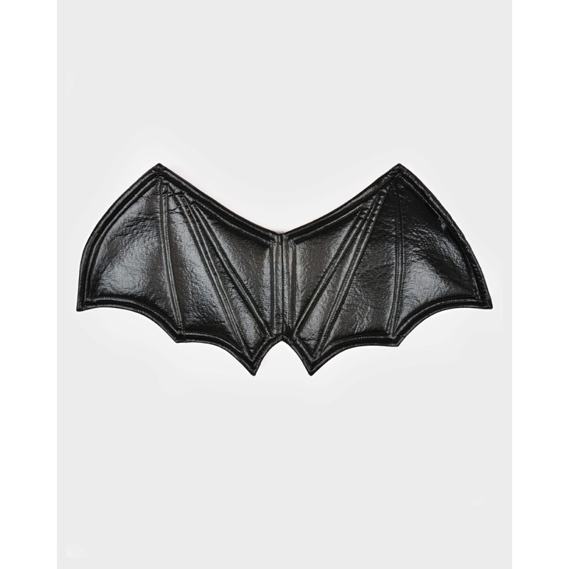 Ailes de chauve-souris