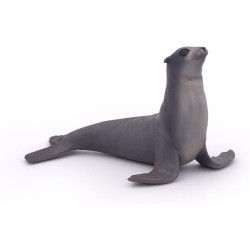 Sea Lion