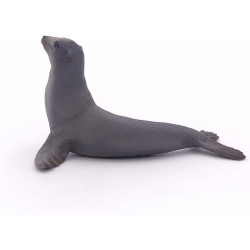 Sea Lion