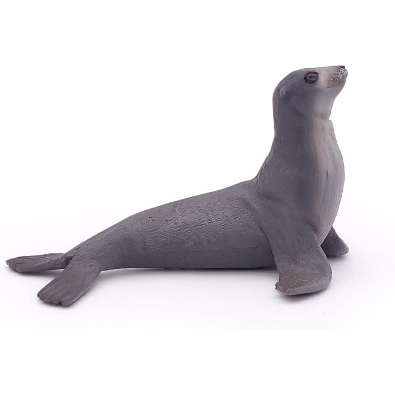 Sea Lion