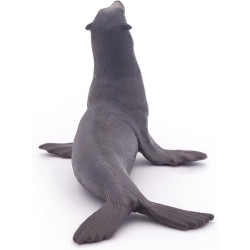 Sea Lion