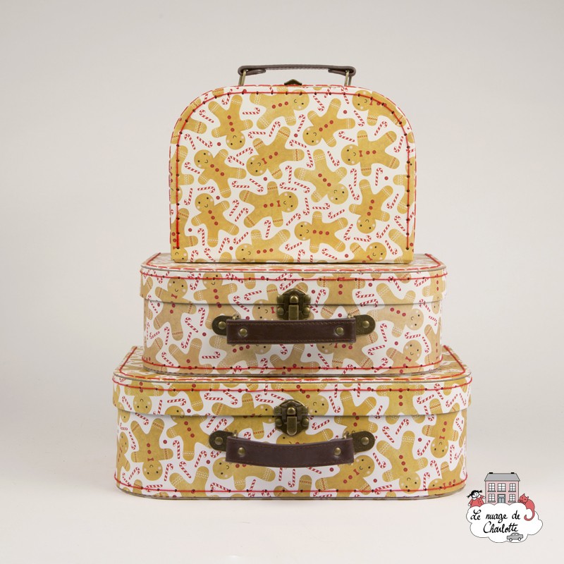 sass and belle suitcase set