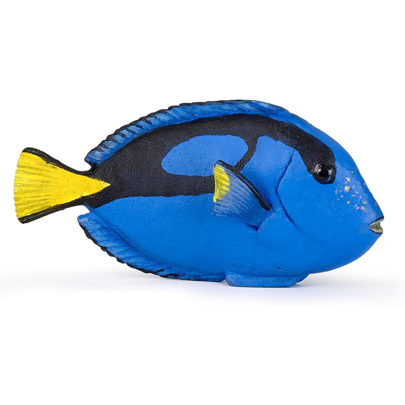 Surgeonfish