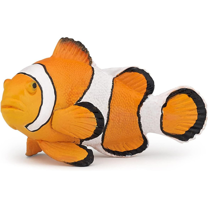 Clownfish