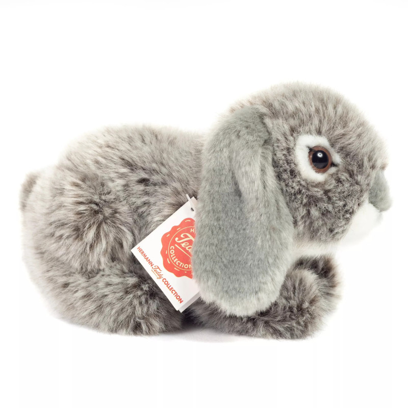 Lapin bélier gris