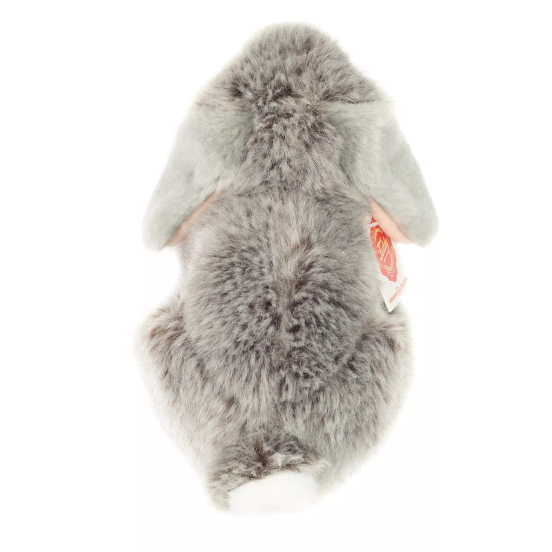 Lapin bélier gris