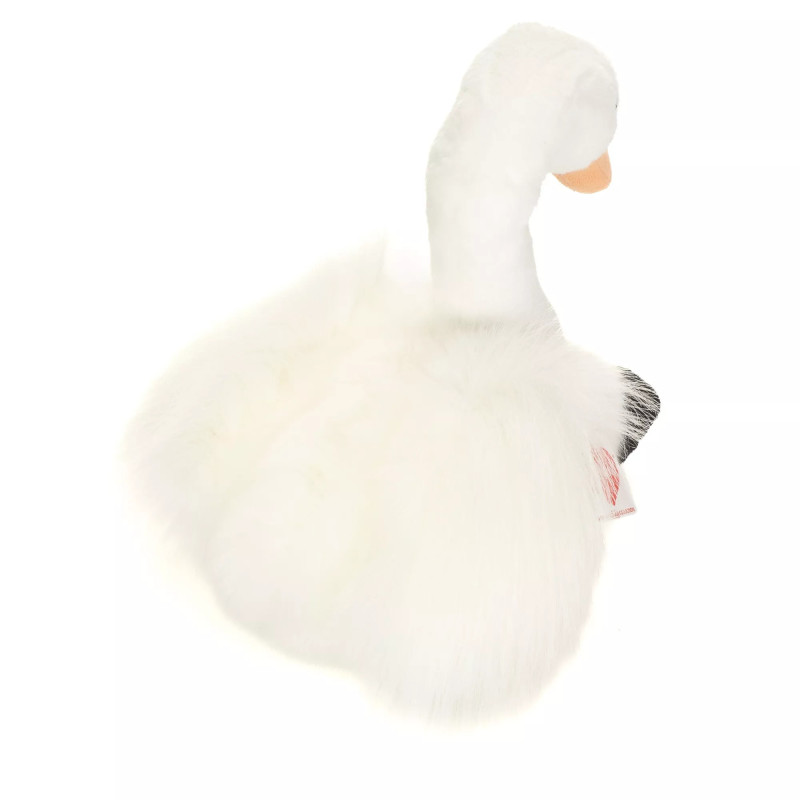 Cygne Lizzy