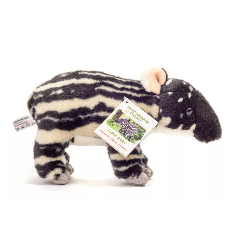 Baby tapir