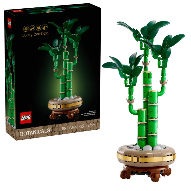 [The Botanical Collection] Lucky Bamboo