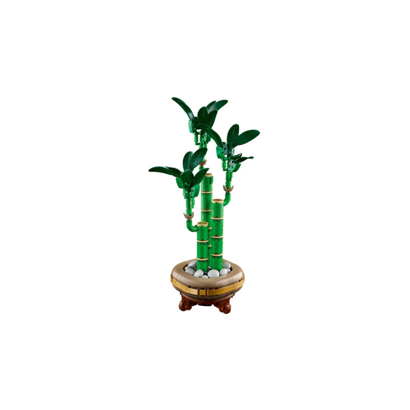 [The Botanical Collection] Le bambou de la chance