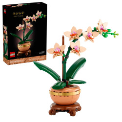 [The Botanical Collection] Mini Orchid