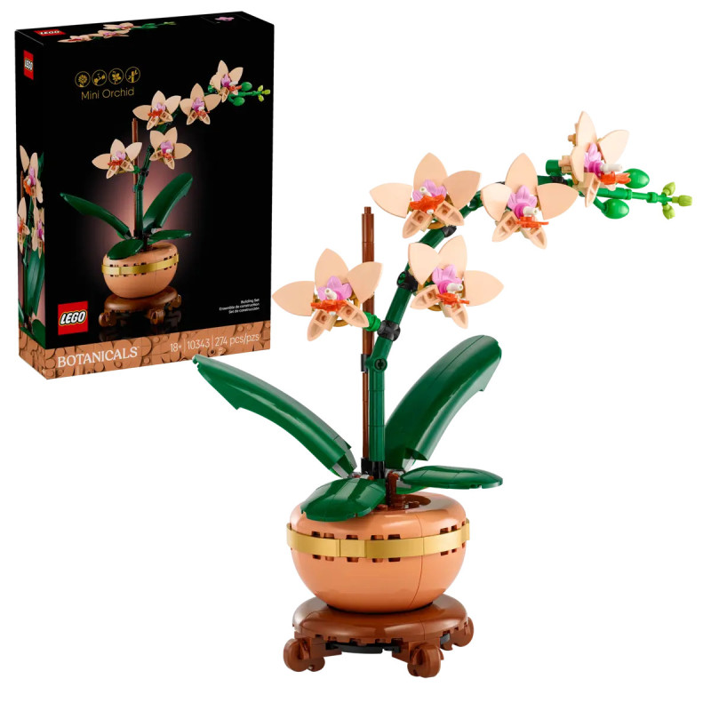 [The Botanical Collection] L’orchidée miniature