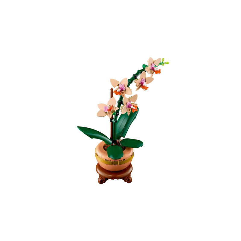 [The Botanical Collection] Mini Orchid