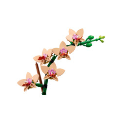 [The Botanical Collection] Mini Orchid