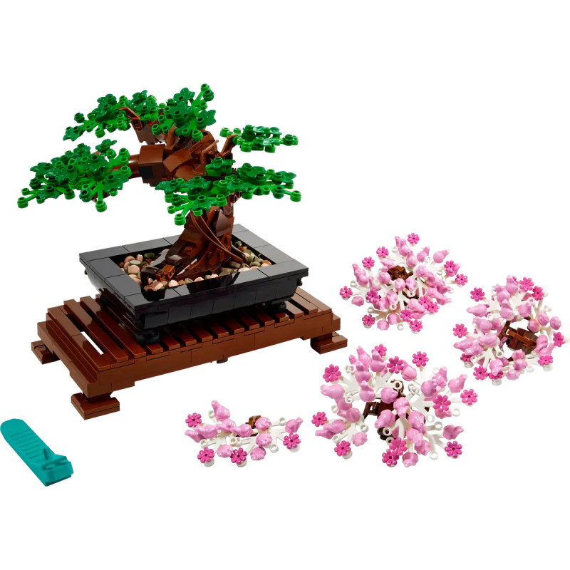 [The Botanical Collection] Bonsai Tree