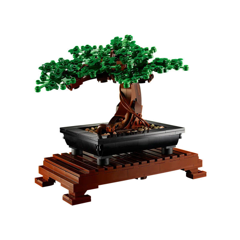 [The Botanical Collection] Bonsai Tree