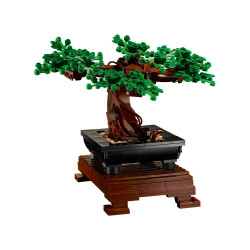 [The Botanical Collection] Bonsai Tree