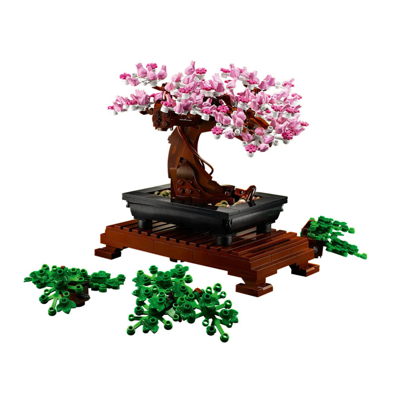 [The Botanical Collection] Bonsai Tree