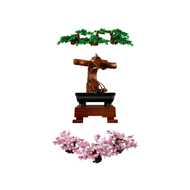 [The Botanical Collection] Bonsai Tree