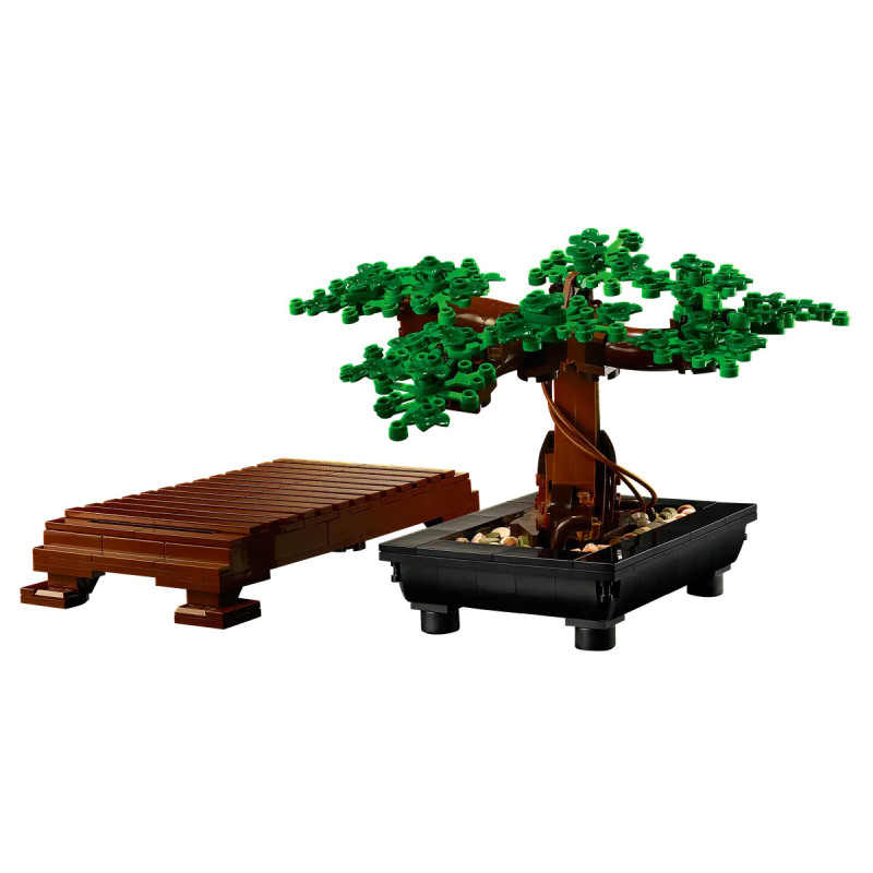 [The Botanical Collection] Bonsai Tree