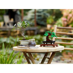 [The Botanical Collection] Bonsai Tree