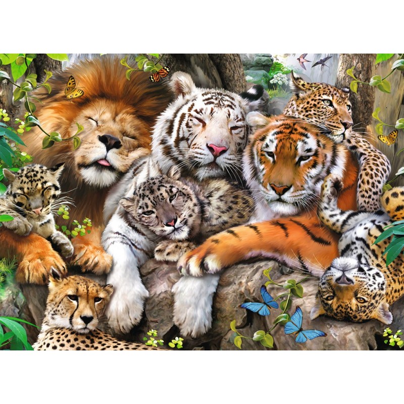 Big Cat Nap - RAV-127214 - Ravensburger - Puzzles for the bigger ones - Le Nuage de Charlotte