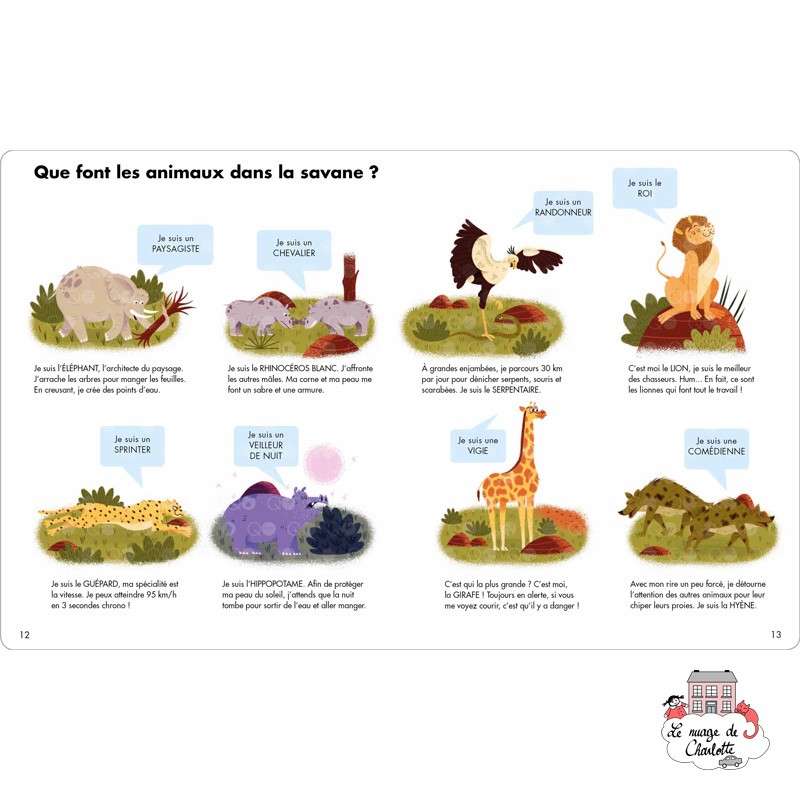 Que font les animaux quand ils sont réveillés ? - 123-0052 - Editions 123 Soleil - Documentaires - Le Nuage de Charlotte