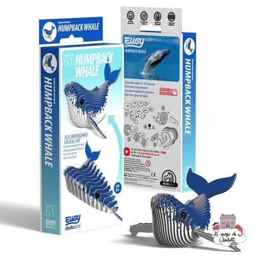 Eugy 051 - Humpback Whale - EUG-5313946 - dodoland - Maquettes en carton - Le Nuage de Charlotte