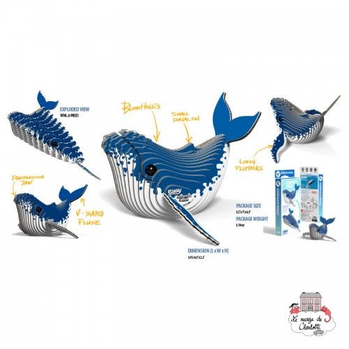 Eugy 051 - Baleine a Bosse - EUG-5313946 - dodoland - Maquettes en carton - Le Nuage de Charlotte