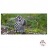 Eugy 011 - Zebra - EUG-5313906 - dodoland - Maquettes en carton - Le Nuage de Charlotte