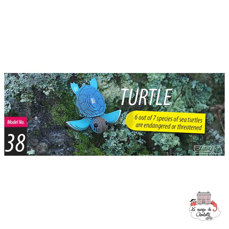 Eugy 038 - Turtle - EUG-5313937 - dodoland - Maquettes en carton - Le Nuage de Charlotte