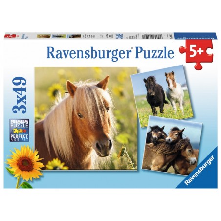 Adorables poneys - RAV-080113 - Ravensburger - Puzzles pour les petits - Le Nuage de Charlotte