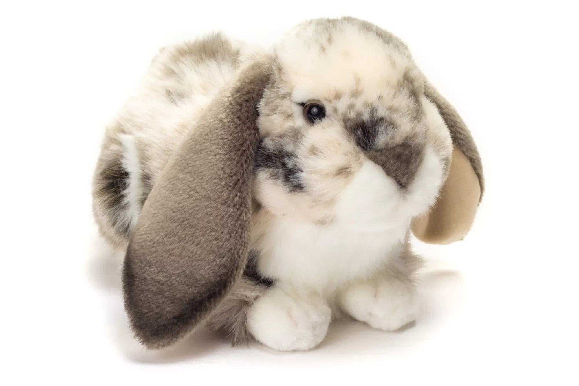 Peluche Lapin Holland Lop