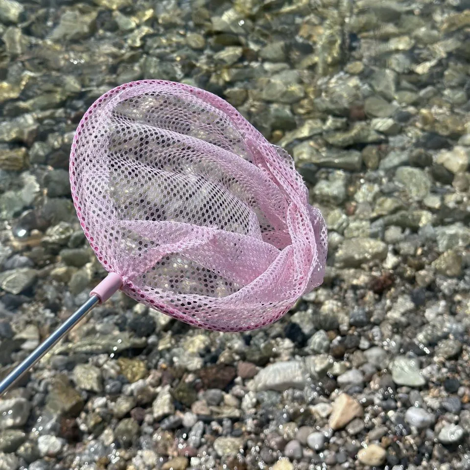 Acheter Telescopic fish net blush rose - Nature and discoveries - F